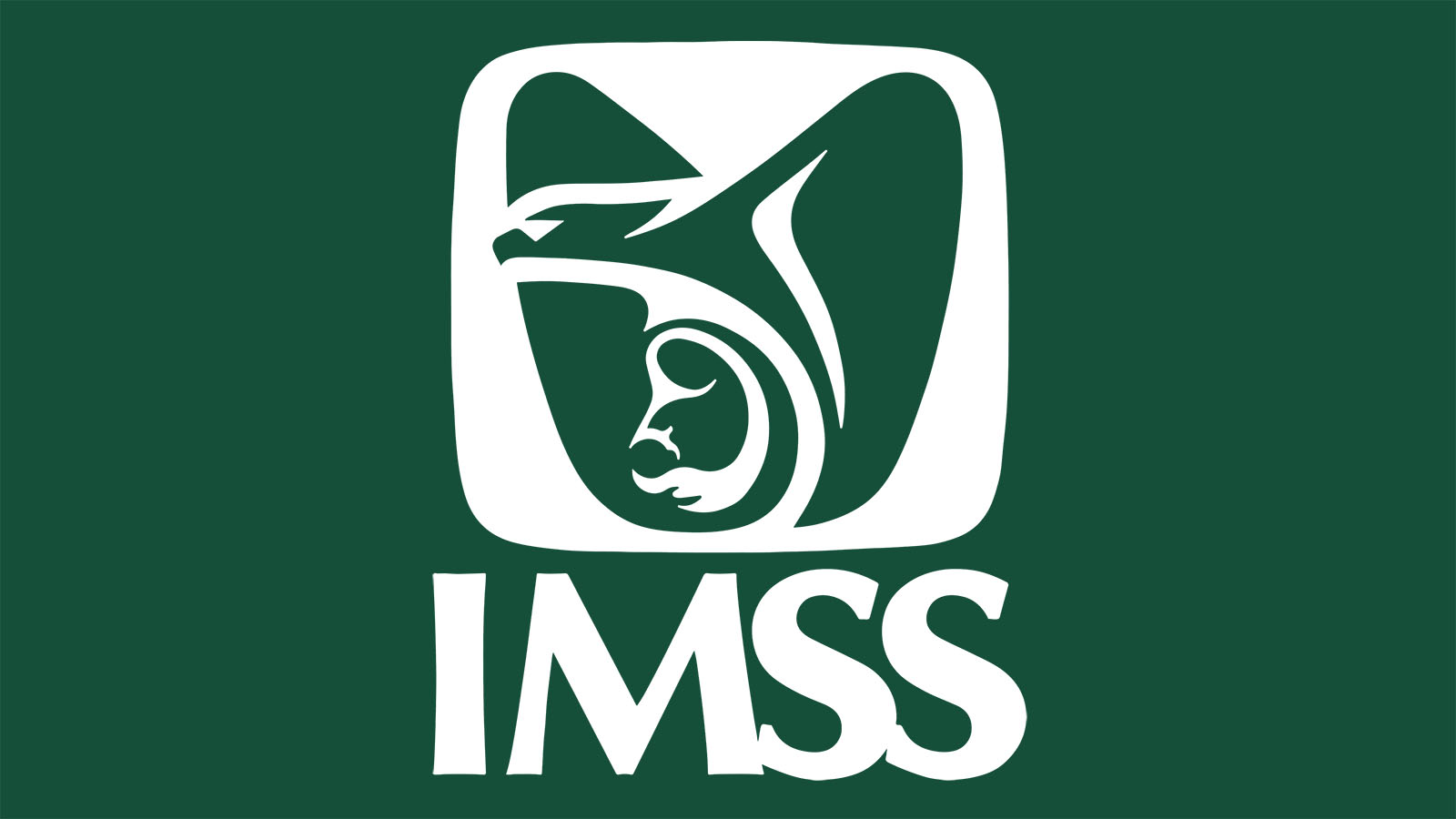 Logo IMSS